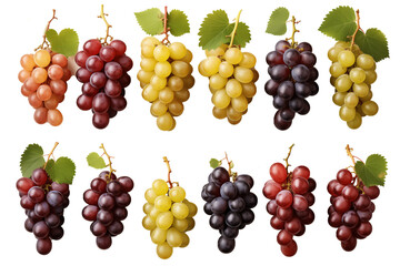 set of grape isolated on transparent background