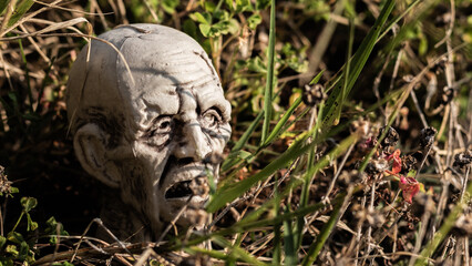 Obraz premium Plastic Halloween face decoration nestled in the grass, creating a spooky and festive garden scene