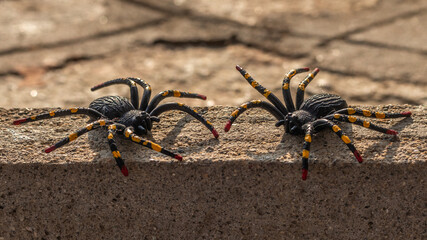 Spooky Halloween decor with two faux spiders perched on a weathered wall, setting the stage for a chilling celebration