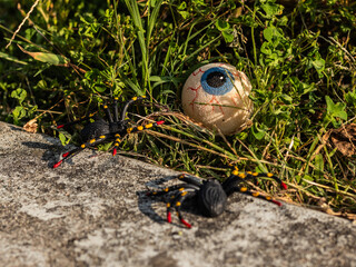 A spooky Halloween scene with a fake eye and two faux spiders in the grass near a weathered wall