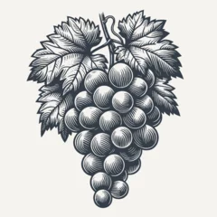 Fotobehang Natural Bundle of Grapes - Fine Line Woodcut style vector Illustration. © RetroVector