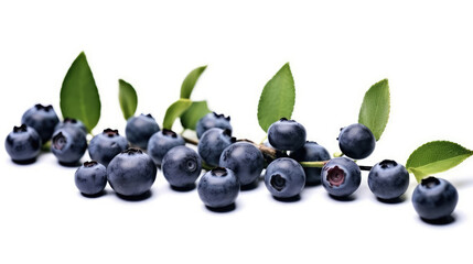 Huckleberry Natural Colors , Background For Banner, HD