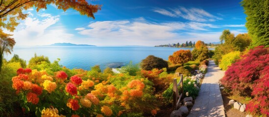 beautiful autumn garden the lush green leaves of plants added a vibrant contrast to the cream colored flowers creating a picturesque landscape against the backdrop of a blue sky and serene i