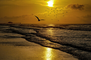 Seagulls flies over Galveston Beach in the early morning as the sleepy coastal town starts to wake up.  