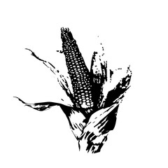 Corn Vector