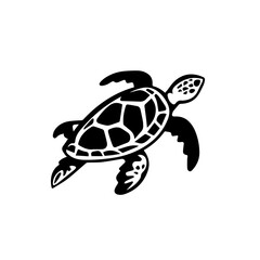 Turtle Vector