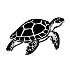 Turtle Vector