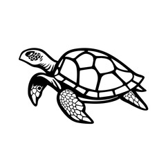 Turtle Vector