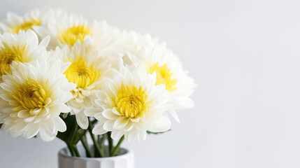 Obraz premium Chrysanthemum Natural Colors Minimalist , Background For Banner, HD