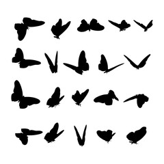 set of silhouettes of butterflay vector, isolated white bacground eps 10