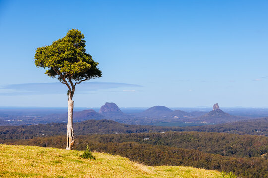 One Tree Hill in Queensland Australia