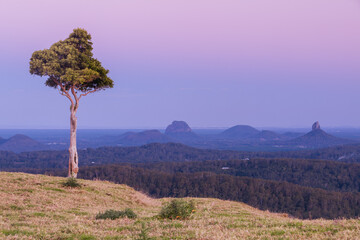 One Tree Hill in Queensland Australia