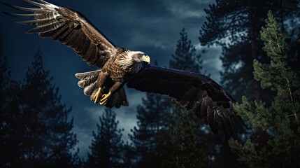 Obraz premium A Regal Eagle Is Soaring High Above The Treetops, Background For Banner, HD