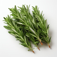 Fototapeta premium Fresh rosemary showcased with quality lighting on a white background.generative ai