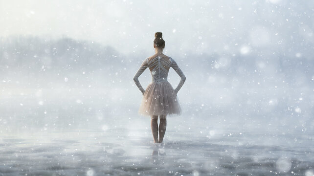 a ballerina in a winter landscape, grace and beauty, the cold of winter nature