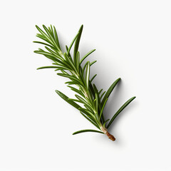 Fototapeta premium Fresh rosemary showcased with quality lighting on a white background.generative ai