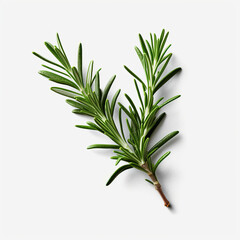 Fototapeta premium Fresh rosemary showcased with quality lighting on a white background.generative ai