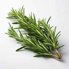 Fototapeta premium Fresh rosemary showcased with quality lighting on a white background.