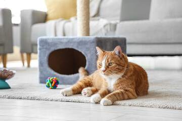 Cute cat lying near scratching post at home - obrazy, fototapety, plakaty