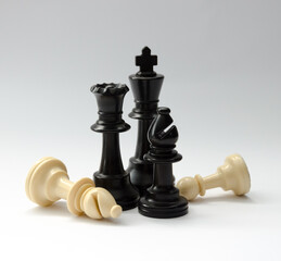 Chess pieces on white background. 