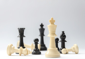 Chess pieces on white background. 