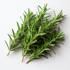 Fototapeta premium Fresh rosemary showcased with quality lighting on a white background.