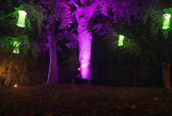 Illuminated forest with magical lights