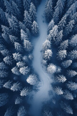 Obraz premium Aerial top view of snowy road in forest in winter. Landscape of white blue woods with snow, path and frozen trees. Concept of nature, travel, Siberia, Norway, country, scenery,
