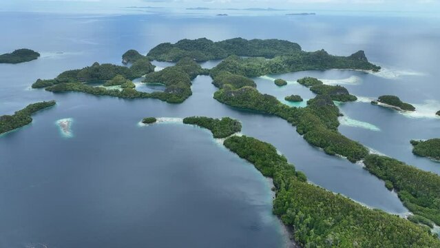 The incredibly scenic islands of Pef are fringed by mangrove trees and surrounded by beautiful coral reefs. These islands, found in northern Raja Ampat, support an amazing array of biodiversity.