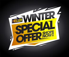 Winter special offer, discount sale web banner