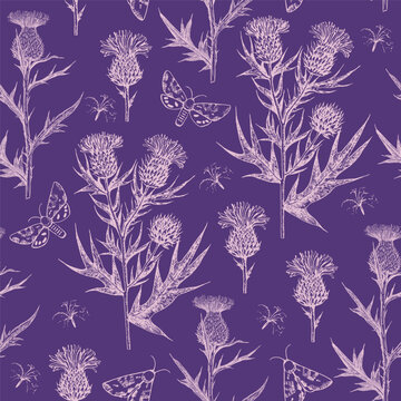 Seamless pattern with thistle flowers and buds. Ink hand-drawn detailed illustration. Vector graphic.