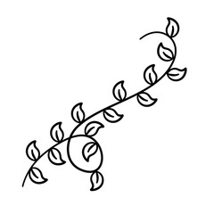 Vine art leaf vector design Illustration