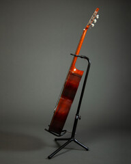 Acoustic Guitar 006