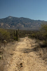 Wide Section of Thunderbird Trail Heads Toward Mountains