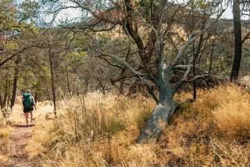 Woman Hikes Through Grass and Forest on the Colima Trail