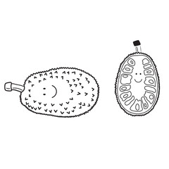 Hand drawn Vector illustration color children cute smiling jackfruit clipart