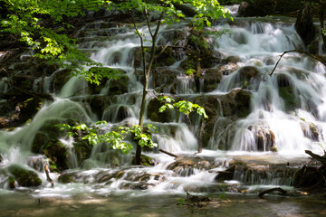 A lively cascade of water gushes down a small waterfall