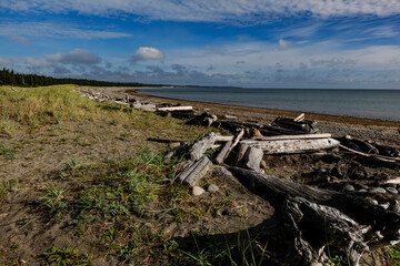 Fototapeta na wymiar Beautiful remoteness of East Beach on Haida Gwaii