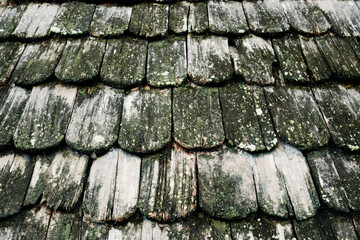 The surface of a decaying wooden roof