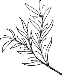 leaf line art