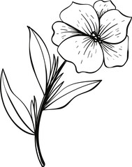 flower line art
