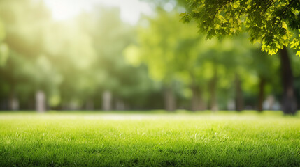 Naklejka premium Green lawn and trees background with copyspace. Nature background concept. Generative AI