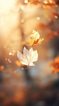 falling autumn leaves and branches nature in light translucent soft color pastel tinting on a sunny day