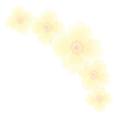 yellow flower blossom