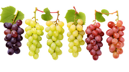 bunch of grapes