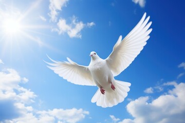 Obraz premium Dove in the air with wings wide open in-front of the sun