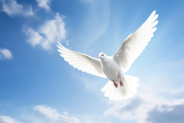 Fototapeta premium Dove in the air with wings wide open in-front of the sun