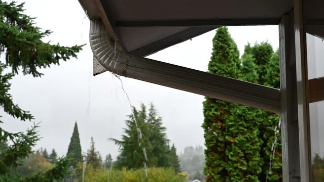 Rainwater overflowing a roof gutter and down spout
