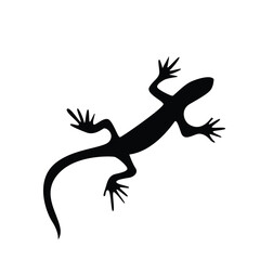 lizard logo icon