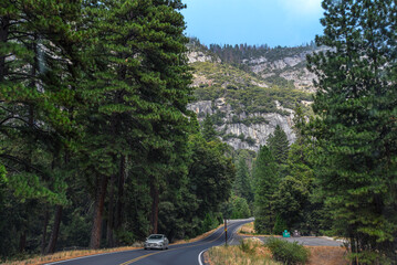 A Car Driving on a Peaceful Empty Road in Yosemite National Park, California